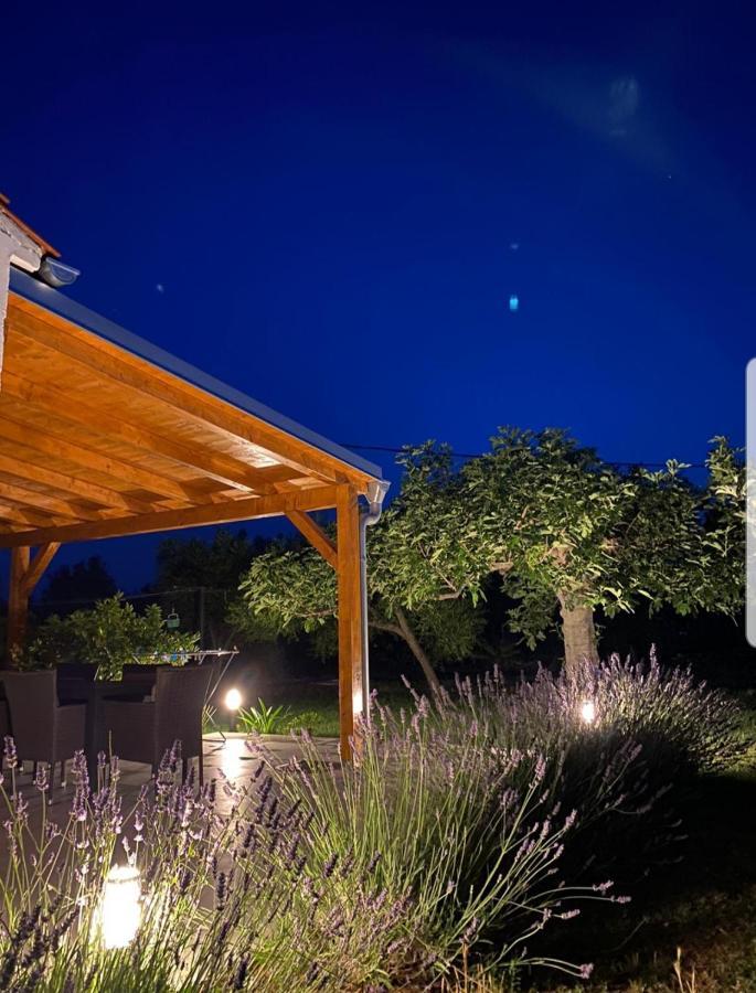 Holiday House Lucia Sukosan Exterior photo